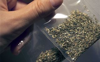 В РК с начала года изъято более двух тонн наркотиков – МВД