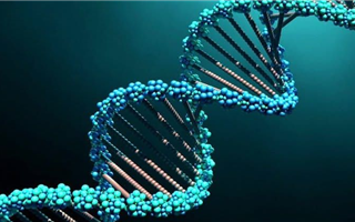 Учёные смогли встроить древнюю ДНК в современные геномы