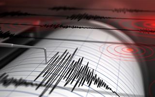 Жители Шымкента ощутили толчки от землетрясения