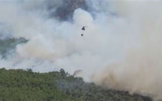 Более 50 лесных пожаров зафиксировали за сутки в Греции
