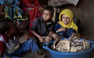 Исследования ООН: в 2021 году число голодающих выросло на 46 миллионов человек