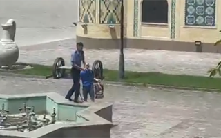 В Таразе полицейский открыл стрельбу по питбультерьеру