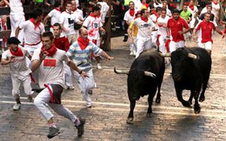 Семь человек пострадали во время забега быков на фестивале в Испании
