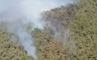 В Бодруме начался лесной пожар