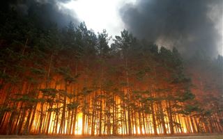 Лесные пожары из-за аномальной жары бушуют в Европе 