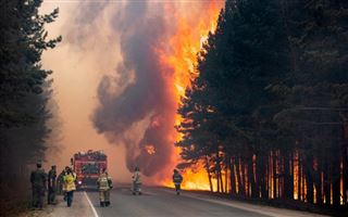 Во Франции пожары уничтожили почти 20 тысяч га леса