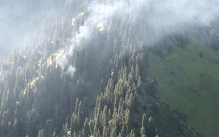 В горах Алматы с помощью вертолетов тушат пожар