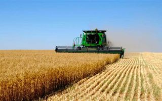 Льготный лизинг сельхозтехники запустят в Казахстане в кратчайшие сроки — МСХ РК