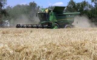 Падение цен на зерно в Казахстане: какую роль сыграла Россия 