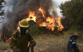 Во Франции из-за аномальной жары начались лесные пожары