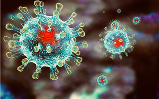 В России обнаружили новый штамм коронавируса и назвали его "русский дельтакрон"