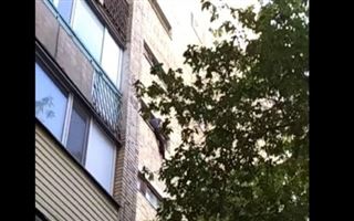 Нетрезвый карагандинец устроил скандал в семье, а потом грозился прыгнуть с 6-го этажа