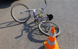 В Алматинской области пьяный водитель сбил пенсионера на велосипеде