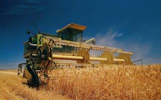 В РК в этом году планируют собрать около 18 млн тонн зерновых
