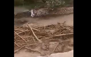 В Пакистане из-за наводнения пострадали более 500 человек