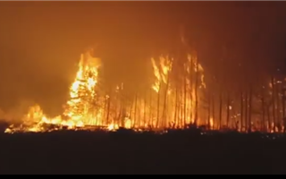 Министр по ЧС вылетел на место природного пожара в Костанайской области 