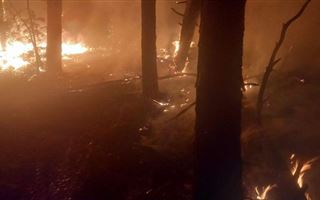 В Костанайской области пограничники КНБ тушат пожар на границе 