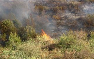 В Карагандинской области за сутки разгорелись 17 природных пожаров