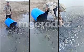 Сельчане вручную собирали и переносили рыбу из высыхающего водохранилища в ЗКО