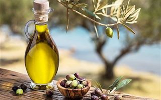 Италия может остаться без оливкового масла