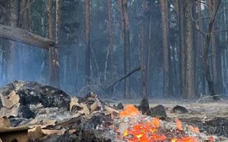 Пожары по Костанайской области: министерство экологии подсчитало сумму ущерба