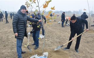 В Жамбылcкой области в одном из парков высадили 600 деревьев