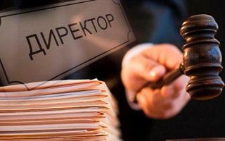Предпринимателя из Шымкента осудили за неуплату налогов на 250 млн тенге