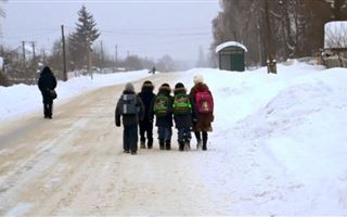 В четырех регионах РК из-за морозов школьники перешли на дистанционку