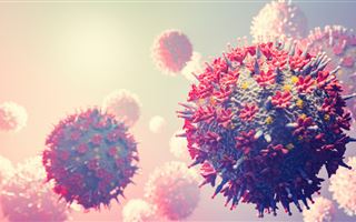 В РК выявили высокозаразный штамм коронавируса "Цербер"