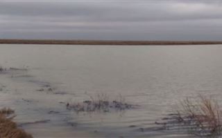 В Атырауской области неожиданно образовалось озеро
