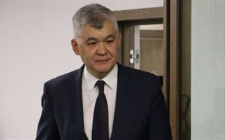 Аружан Саин призвала казахстанцев подписать петицию в защиту Биртанова 
