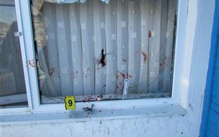 Житель Акмолинской области выстрелил в жену, избил сына и застрелился