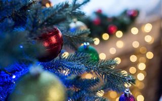 Новогоднюю елку за пять миллионов тенге хотят установить в центре Талдыкоргана