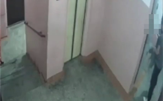Павлодарец жестоко расправился с котом, который жил в подъезде - видео