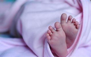 В канун Нового года в Казахстане родились 240 малышей