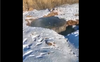Зловонное озеро из сточных вод образовалось в Уральске