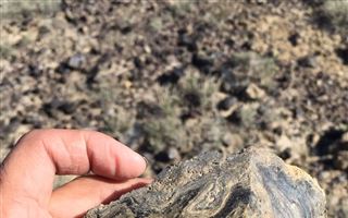 Черные геологи тоннами вывозят уникальные минералы, которые есть только в Казахстане