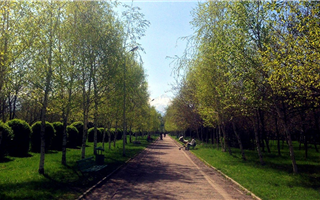 В госсобственность вернули парк "Южный" в Алматы