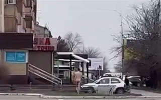 Голый мужчина гулял по Талдыкоргану - видео