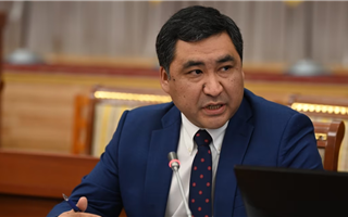  Министр рассказал, какие товары Кыргызстан будет поставлять в Россию в обход Казахстана 
