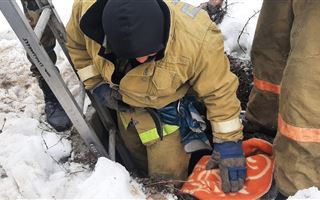 В ВКО спасатели вытащили из колодца собаку