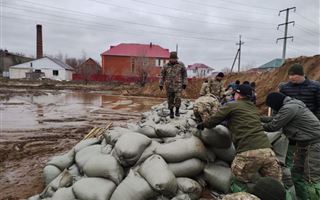 Солдаты бригады территориальной обороны брошены на борьбу со стихией