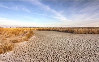 В Казахстане предложили использовать паводковые воды для борьбы с засухой
