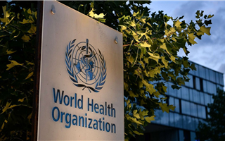 Риск распространения холеры в мире очень велик, считают в ВОЗ
