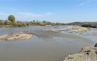 Тело пропавшей 10 дней назад девочки нашли в реке Арысь