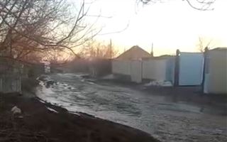 Воды с полей топят населенный пункт в Акмолинской области