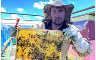  Почему в Казахстане купить настоящий мёд все труднее и что надо знать покупателю о подделках: секреты пчеловодов