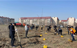 В Алматы этой весной высадят более десяти тысяч саженцев