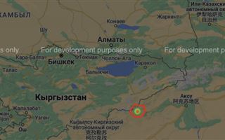 Землетрясение зафиксировали в 280 километрах от Алматы