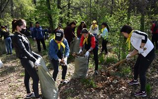 Почти пять тысяч деревьев высадят в рамках общегородского субботника AlmatyClean&Green